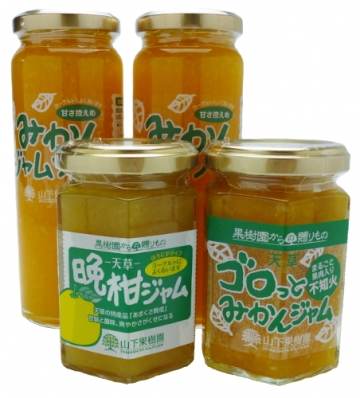送料無料 果樹園の手作りジャム4本セット 送料無料 果樹園の手作りジャム4本セット