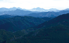 豊かな自然に恵まれた東吉野村の美しい風景