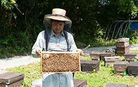蜜を採取するのは、福島県内に咲く花のみ