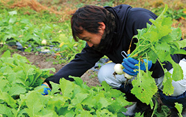 農産物は生産者の真心によって大切に育てられる