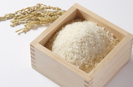 【送料無料】雪温精法　氷温熟成　新潟産新之助2kg×2