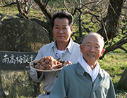 【送料無料】有機JAS認証「昔ながらのしそ梅干」木箱入り／紀州南高梅発祥農園「たかだ果園」