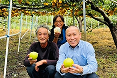梨とらっきょうで作った梨ドレ・ディップ詰め合わせ