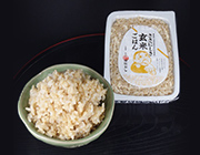 ささにしき玄米ごはん