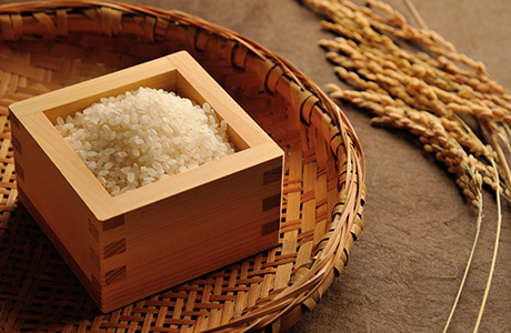 新潟県認証　特別栽培米コシヒカリ　よこさわ米:精米2kg