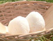 山形県産はえぬき（めだか米） 2kg