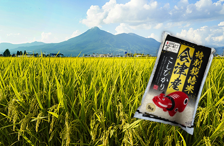 米どころ会津からお届けする特別栽培米こしひかり5kg