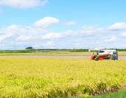 【送料無料】特別栽培米 つや姫 白米10kg（5kg×2） 宮城県登米市産(令和6年産)※沖縄除く