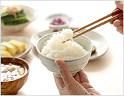【送料無料】雪蔵仕込み　新潟県産こしひかり　5kg