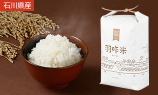 自然栽培　羽咋米（精白米3kg）