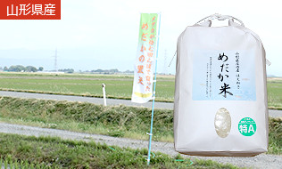 山形県産はえぬき(めだか米)２kg