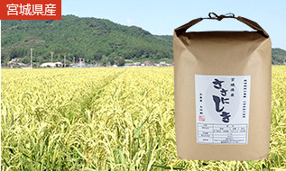 田伝むしの農薬不使用ササニシキ白米５ｋｇ×2袋