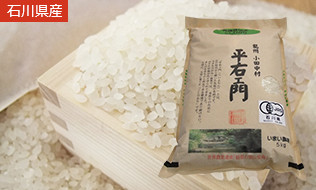 特別栽培米こしひかり 精白米 5kg