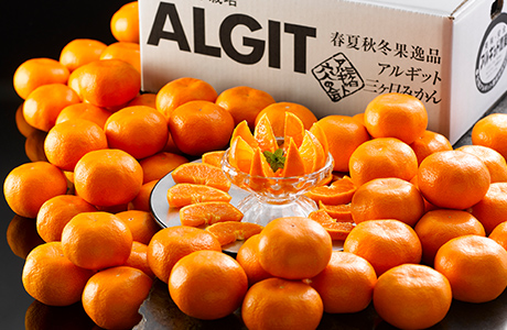 【送料無料】静岡三ヶ日産アルギットみかん　5キロ