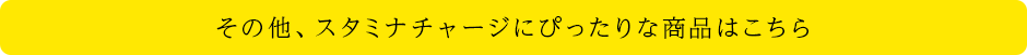 その他、スタミナチャージにぴったりな商品はこちら