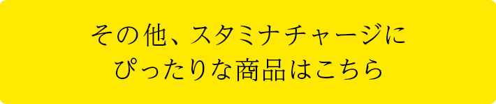 その他、スタミナチャージにぴったりな商品はこちら