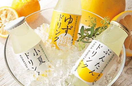 高知の恵みドリンク 柑橘3種12本セット