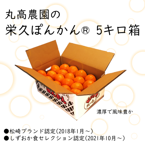 丸高農園の栄久ぽんかん　5キロ箱