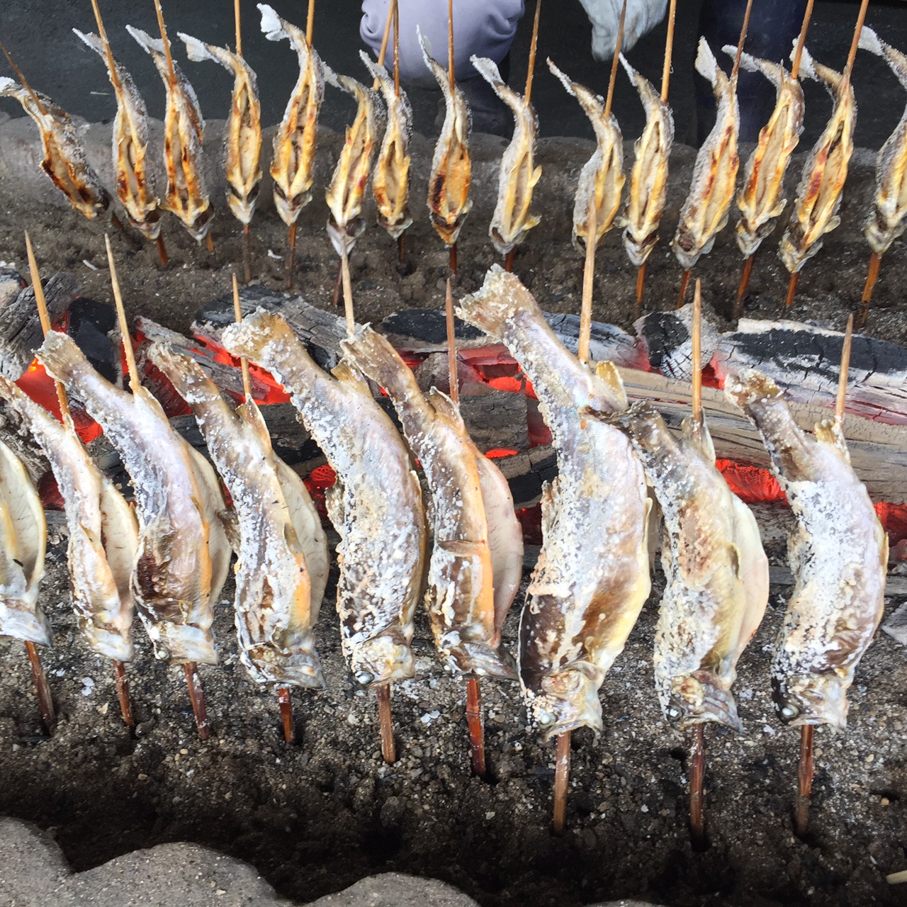 イワナの炙り焼き イワナの炙り焼き