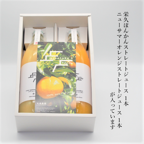 栄久ジュースとニューサマ―ジュースが各1本入っています