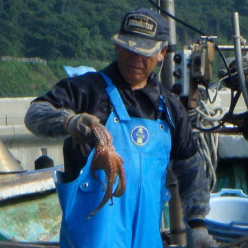 大島周辺で水揚げされたマダコを使用してます