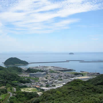 こんなにきれいな海で採れたイワシを使っています
