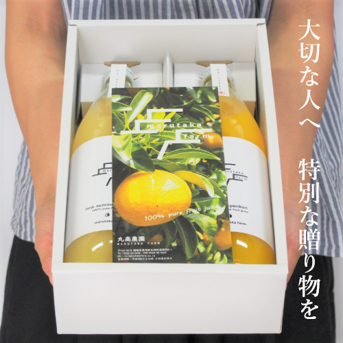 この1箱に西伊豆松崎町の魅力がたっぷり入っています