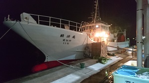 新鮮な魚を捕ってくる漁船。