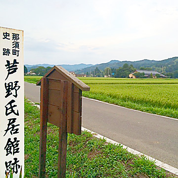 那須の史跡・神土に開いたヘチマ畑で