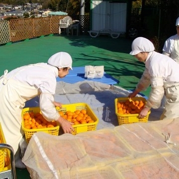 伊豆天城山にて天然酵母採取